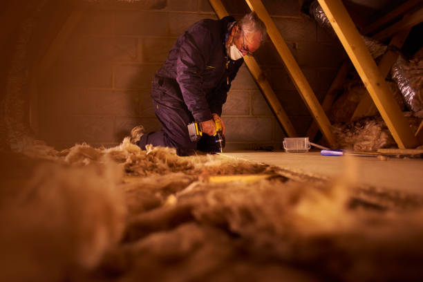 Best Insulation Installation Services in Puyallup, WA