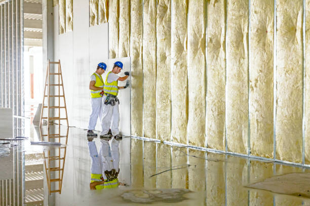 Best Insulation Maintenance and Repair in Puyallup, WA